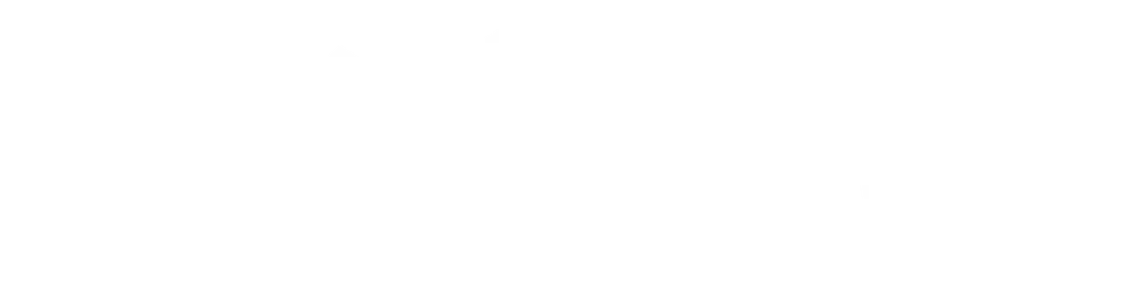 White background.